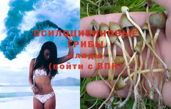 прущая мука Богородицк