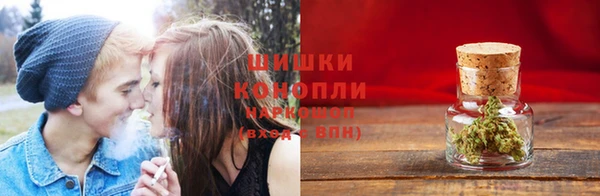 прущая мука Богородицк