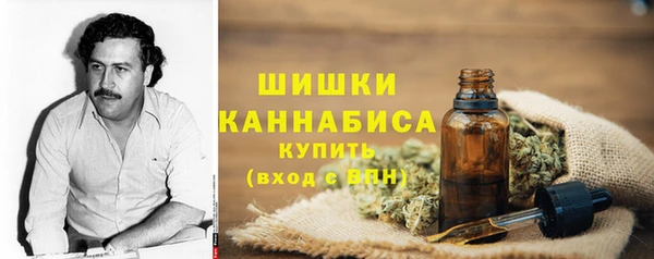 хмурый Бородино