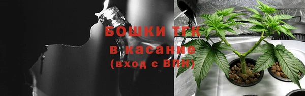 крисы Бугульма