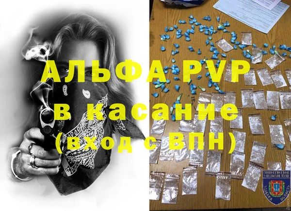 сатива Богданович