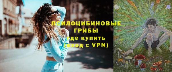сатива Богданович