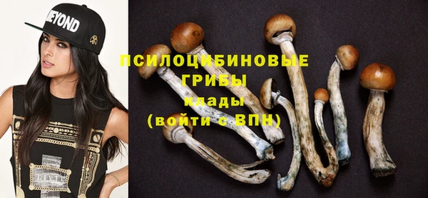 прущая мука Богородицк